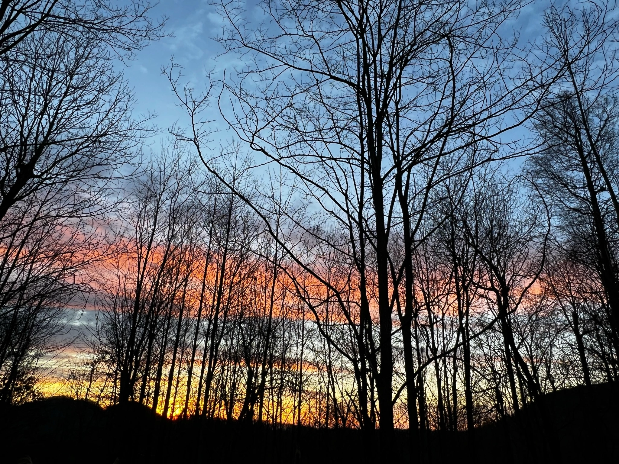 Bel Air Asheville views