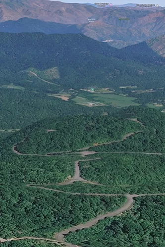 Bel Air Asheville landscape