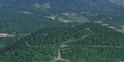 Bel Air Asheville landscape