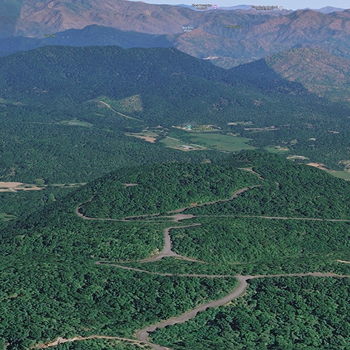 Bel Air Asheville landscape
