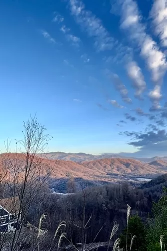 Bel Air Asheville topography